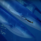 Illustration for article titled The Beautiful Exploration Game iAbzu /iFlew Under The Radar At E3